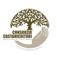 Consorzio Castanicoltori logo, Consorzio Castanicoltori contact details