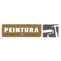 PEINTURA BVBA logo, PEINTURA BVBA contact details