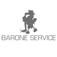 Barone Service Srl logo, Barone Service Srl contact details