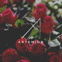 Artemide logo, Artemide contact details