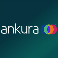 Ankura Joint Venture and Partnership Practice logo, Ankura Joint Venture and Partnership Practice contact details