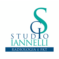 Studio Iannelli Guglielmo SRL logo, Studio Iannelli Guglielmo SRL contact details