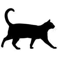 Le Chat Noir Ltd. logo, Le Chat Noir Ltd. contact details