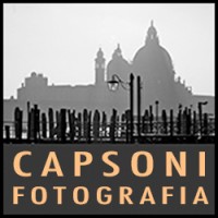 FABRIZIO CAPSONI logo, FABRIZIO CAPSONI contact details