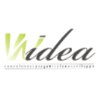 WIDEA consulting projecting developing logo, WIDEA consulting projecting developing contact details