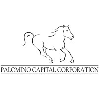 Palomino Capital Corp. logo, Palomino Capital Corp. contact details