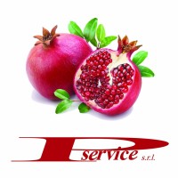 P.Service srl logo, P.Service srl contact details