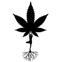 Wholesale Cannabis light Organic logo, Wholesale Cannabis light Organic contact details