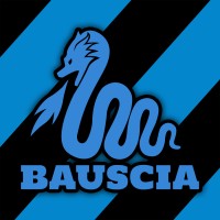 Bauscia.it logo, Bauscia.it contact details