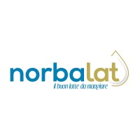 Norbalat Srl logo, Norbalat Srl contact details