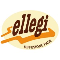 ELLEGI SRL logo, ELLEGI SRL contact details