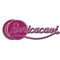 BERICA CAVI S.P.A. logo, BERICA CAVI S.P.A. contact details