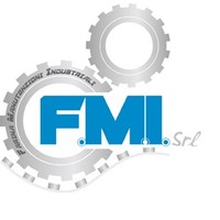 F.M.I. Farina Manutenzioni Industriali srl logo, F.M.I. Farina Manutenzioni Industriali srl contact details