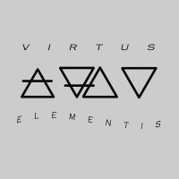 VIRTUS ELEMENTIS LTD logo, VIRTUS ELEMENTIS LTD contact details