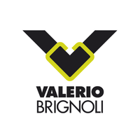 Valerio Brignoli srl logo, Valerio Brignoli srl contact details