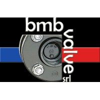 BMB Valve SRL logo, BMB Valve SRL contact details