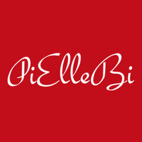 PIELLEBI S.R.L. logo, PIELLEBI S.R.L. contact details