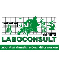 LABOCONSULT SRL logo, LABOCONSULT SRL contact details