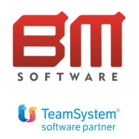 BM Software Srl - Partner TeamSystem logo, BM Software Srl - Partner TeamSystem contact details