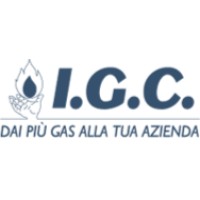 I.G.C. Srl logo, I.G.C. Srl contact details