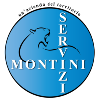 Montini Servizi logo, Montini Servizi contact details