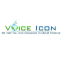 VoiceIcon Inc logo, VoiceIcon Inc contact details