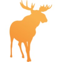 Bull Moose Capital Ltd logo, Bull Moose Capital Ltd contact details