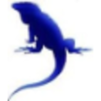 Blue Iguane design logo, Blue Iguane design contact details