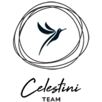 Celestini-Team logo, Celestini-Team contact details