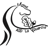 LaQuerciaASD logo, LaQuerciaASD contact details