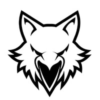 RAVENFOX logo, RAVENFOX contact details