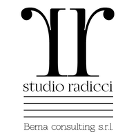 Bema Consulting srl logo, Bema Consulting srl contact details