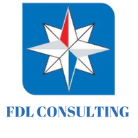 FDL CONSULTING Sagl logo, FDL CONSULTING Sagl contact details