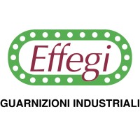 Effegi Srl logo, Effegi Srl contact details