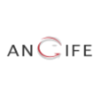 Angife s.r.l. logo, Angife s.r.l. contact details