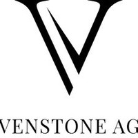 Venstone AG logo, Venstone AG contact details