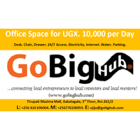 Go Big Finance and Mentorship Hub logo, Go Big Finance and Mentorship Hub contact details