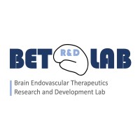 Brain Endovascular Therapeutics Research and Development Lab logo, Brain Endovascular Therapeutics Research and Development Lab contact details