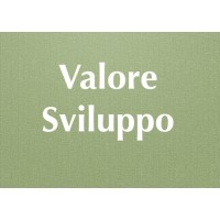 Valore Sviluppo logo, Valore Sviluppo contact details