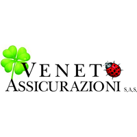 Veneto Assicurazioni Sas logo, Veneto Assicurazioni Sas contact details