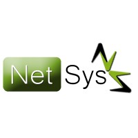 NetSys Serviços em TI logo, NetSys Serviços em TI contact details