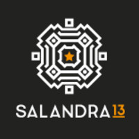 Salandra13 logo, Salandra13 contact details