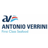 Antonio Verrini s.r.l. logo, Antonio Verrini s.r.l. contact details