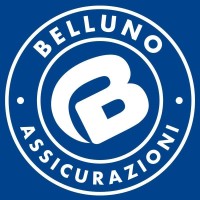 Belluno Assicurazioni logo, Belluno Assicurazioni contact details