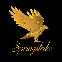 Springstrike Inc. logo, Springstrike Inc. contact details