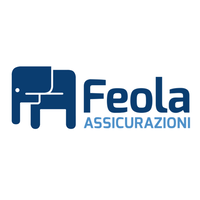 Feola Assicurazioni sas logo, Feola Assicurazioni sas contact details