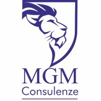 MGM Consulenze SRL logo, MGM Consulenze SRL contact details