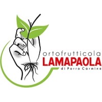 ORTOFRUTTICOLA LAMAPAOLA logo, ORTOFRUTTICOLA LAMAPAOLA contact details