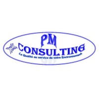 PM CONSULTING logo, PM CONSULTING contact details