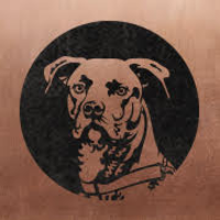 The Underdog Agency logo, The Underdog Agency contact details